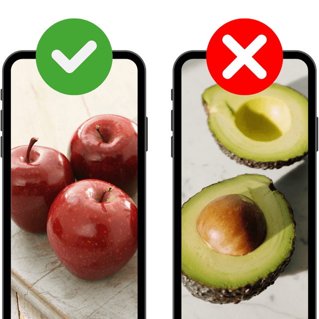 PawBite App