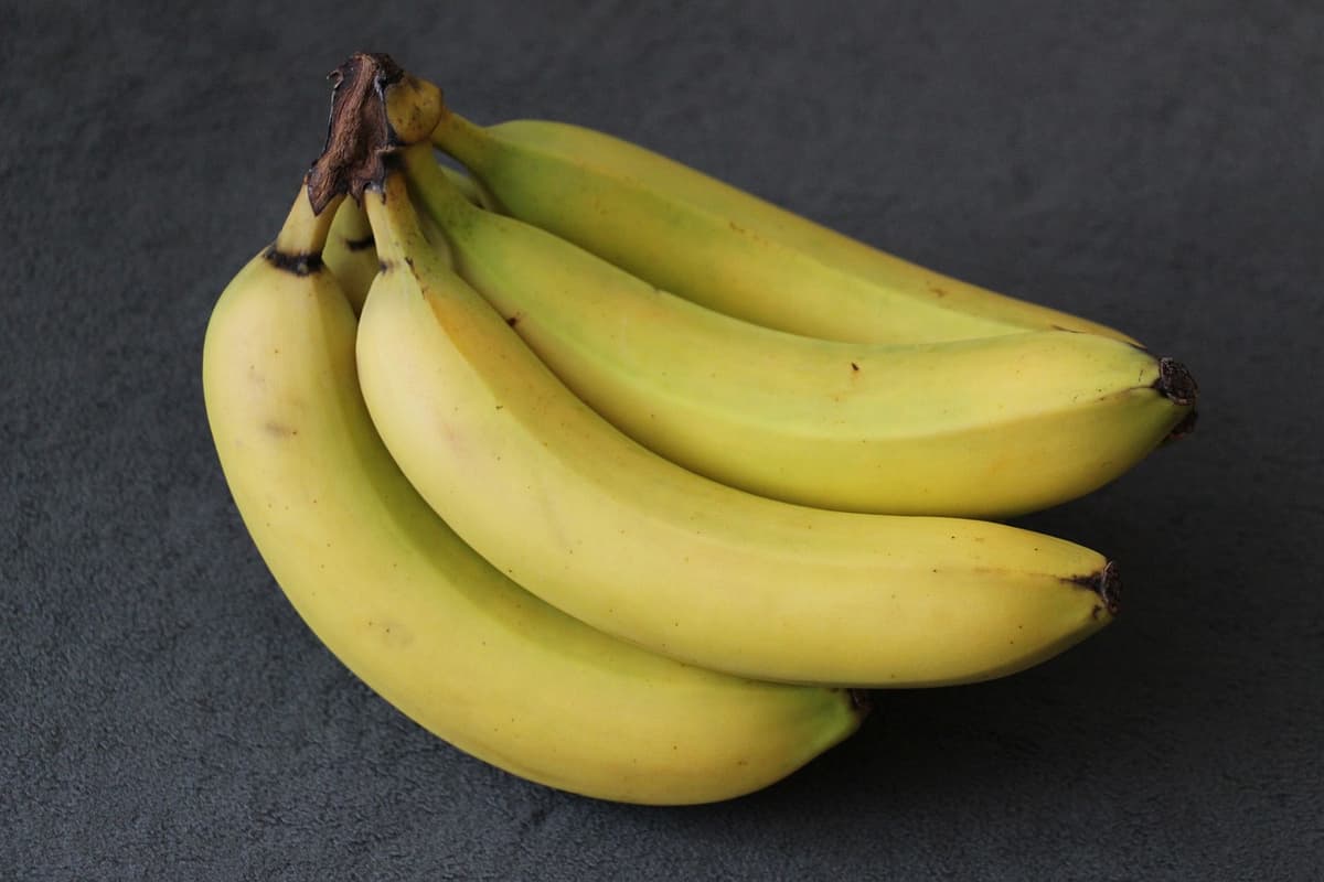 Can dogs eat bananas?