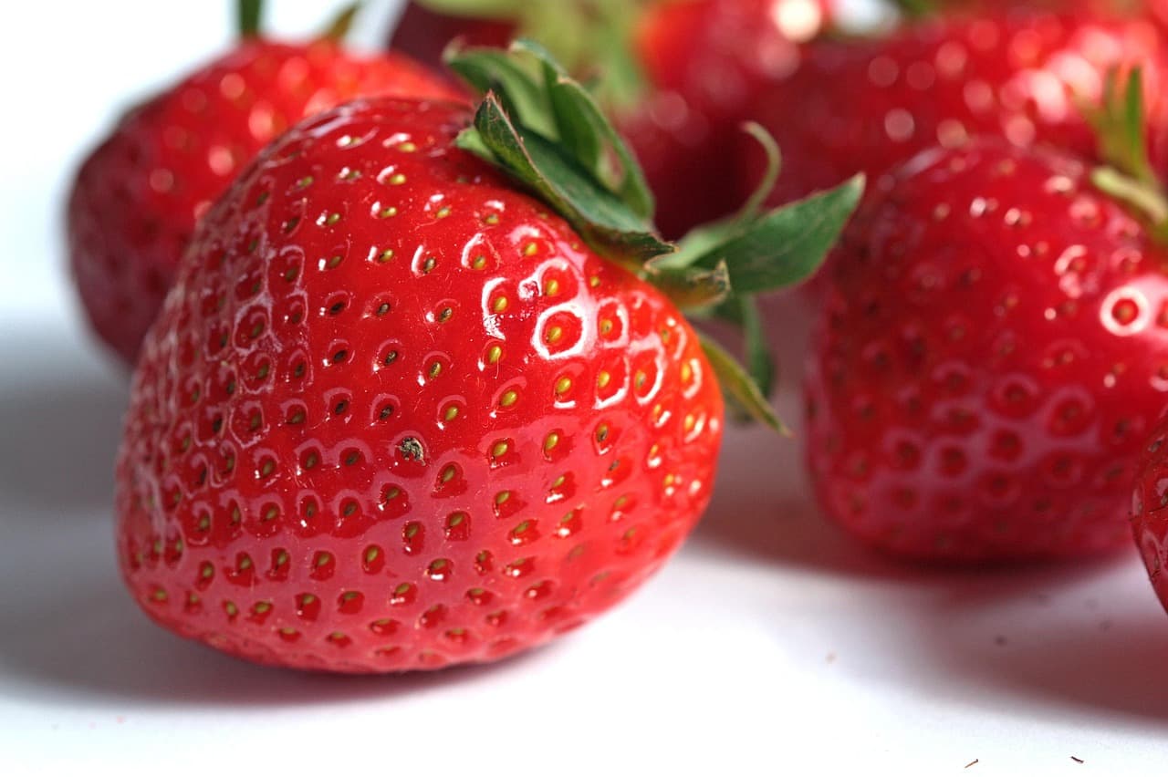 Can dogs eat strawberries?